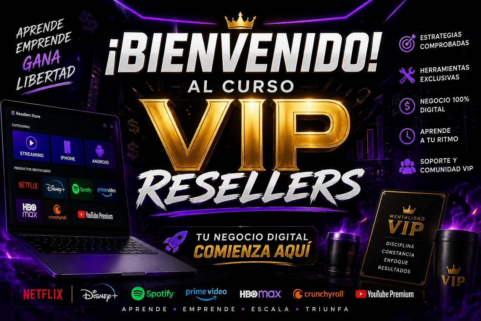 Curso VIP Resellers